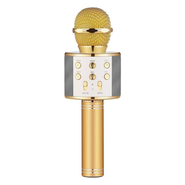میکروفون اسپیکر مدل WS-858
