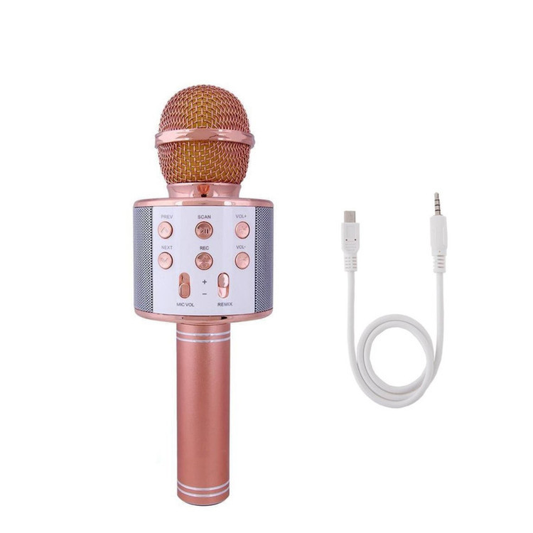 میکروفون اسپیکر مدل WS-858