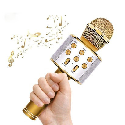 میکروفون اسپیکر مدل WS-858