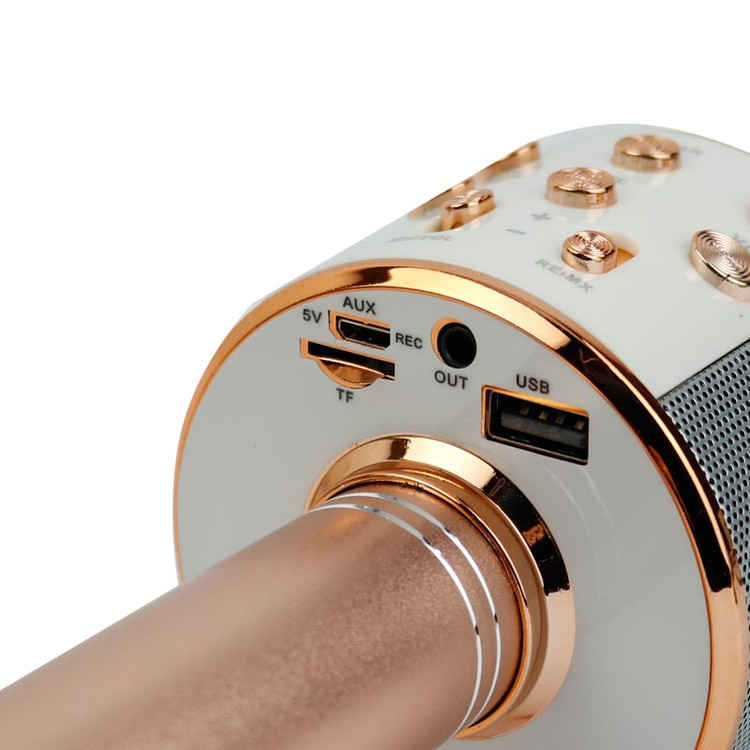 میکروفون اسپیکر مدل WS-858